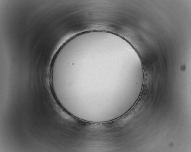 X0000102471094200808221637