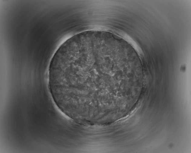 X0000102471095200808221637