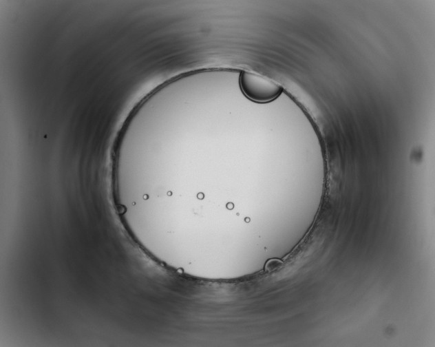 X0000102471096200808221637