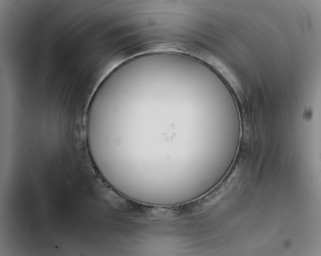 X0000102471097200808221637