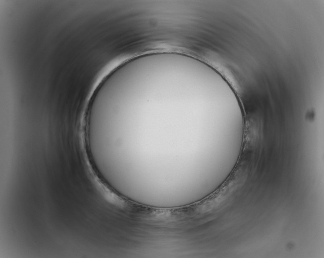 X0000102471098200808221637