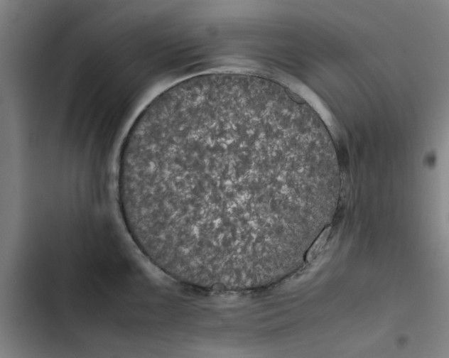 X0000102471099200808221637