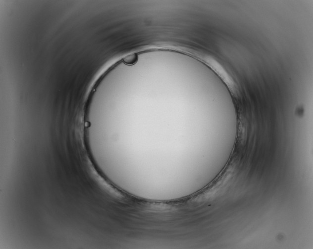 X0000102471100200808221637