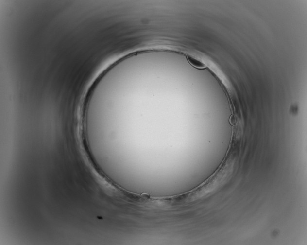 X0000102471101200808221637