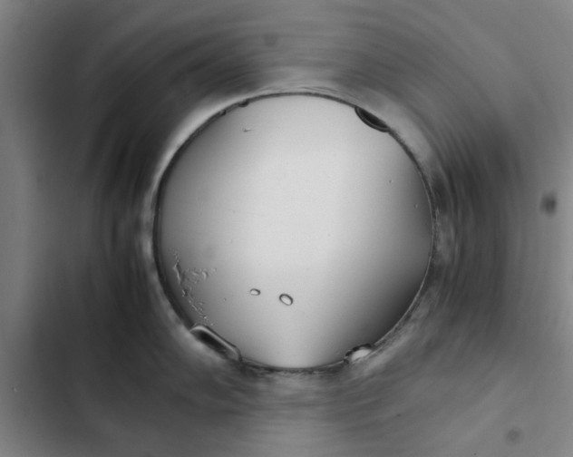 X0000102471102200808221637