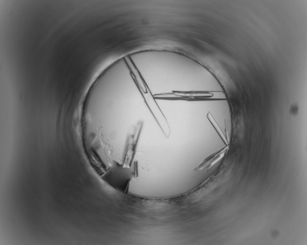 X0000102471103200808221637