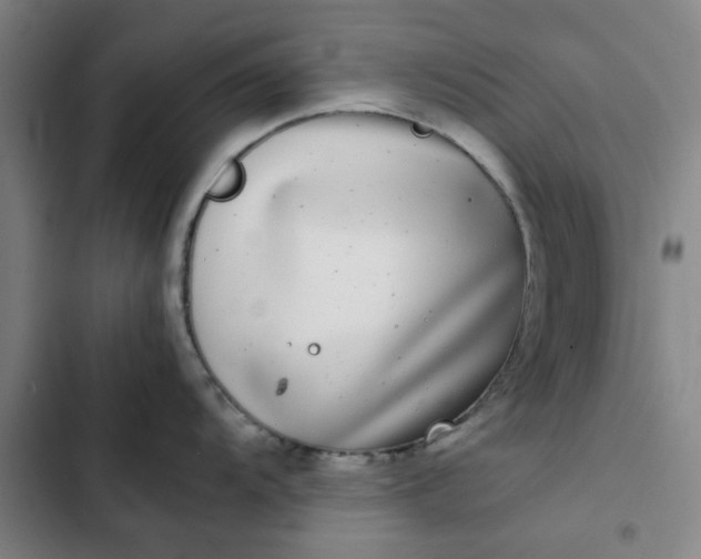 X0000102471104200808221637