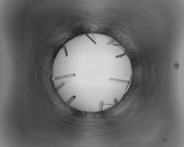 X0000102471105200808221636