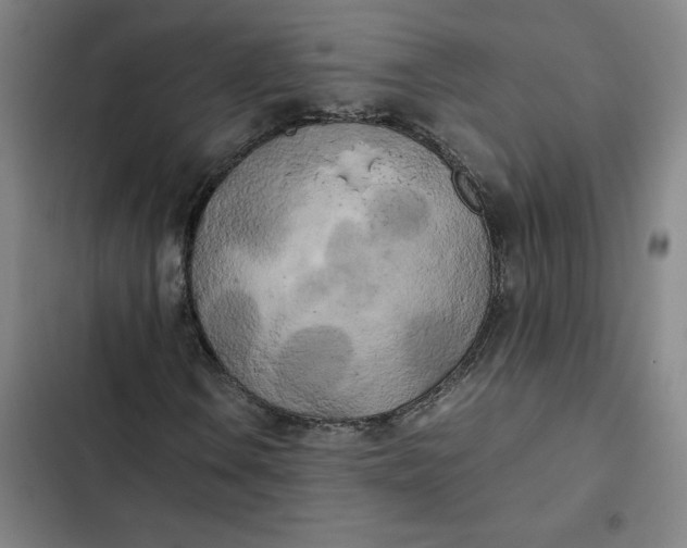 X0000102471106200808221636