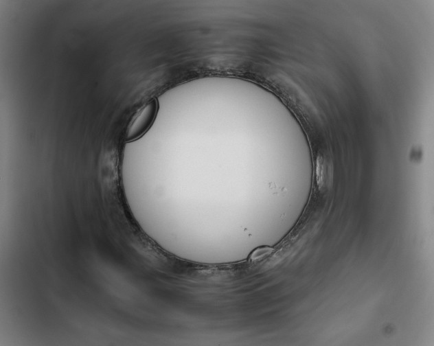 X0000102471107200808221636