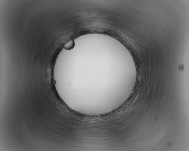 X0000102471108200808221636