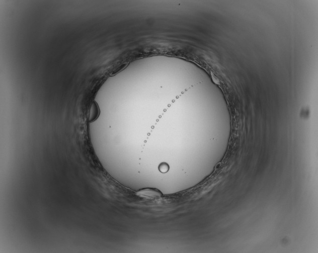 X0000102471109200808221636