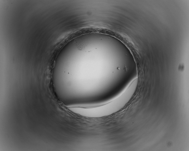 X0000102471110200808221636
