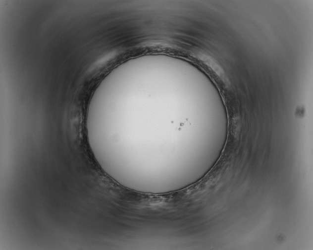 X0000102471111200808221636