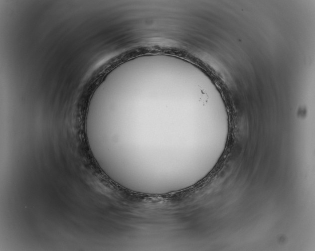 X0000102471112200808221636