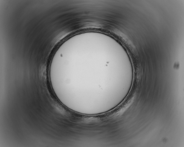 X0000102471113200808221636