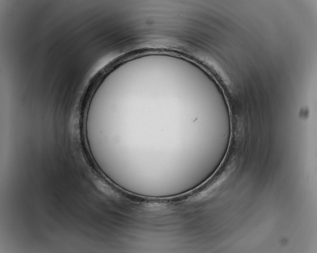 X0000102471114200808221636