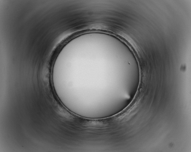 X0000102471115200808221636
