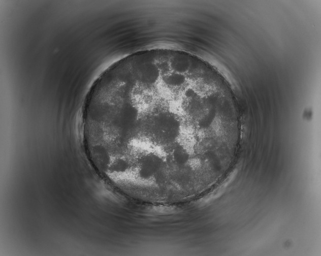 X0000102471117200808221636
