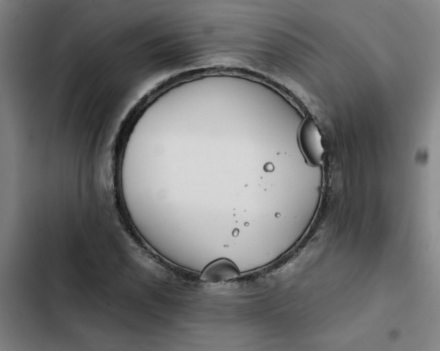 X0000102471118200808221636