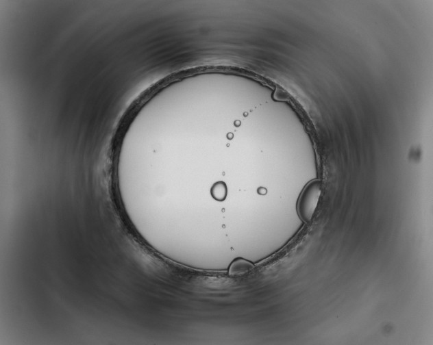 X0000102471119200808221636