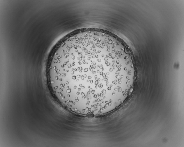 X0000102471120200808221636