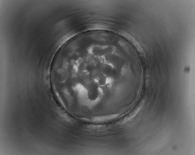 X0000102471121200808221636