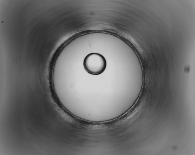 X0000102471122200808221636