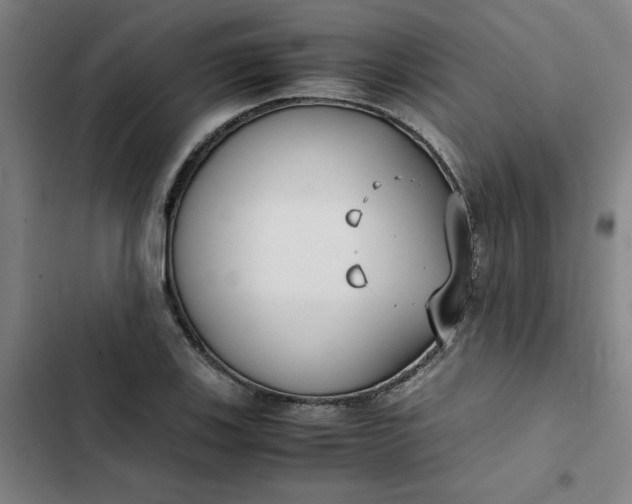 X0000102471123200808221636