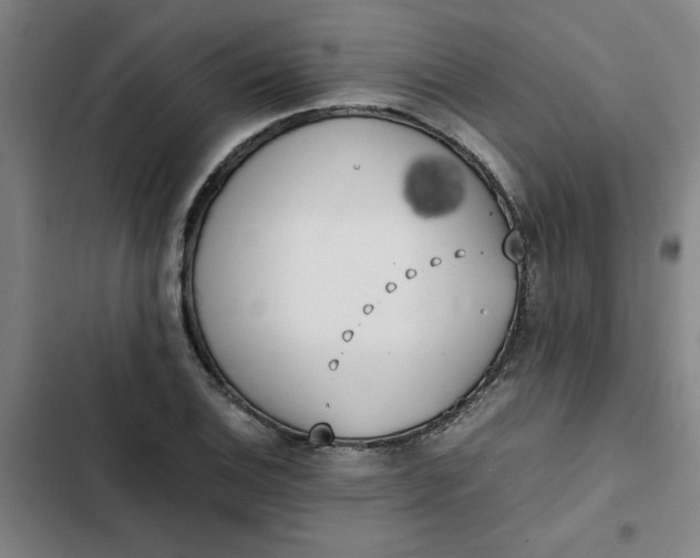X0000102471124200808221637