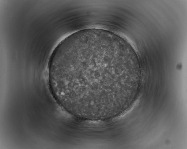 X0000102471125200808221637