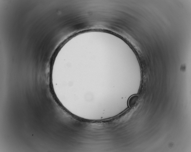 X0000102471126200808221637