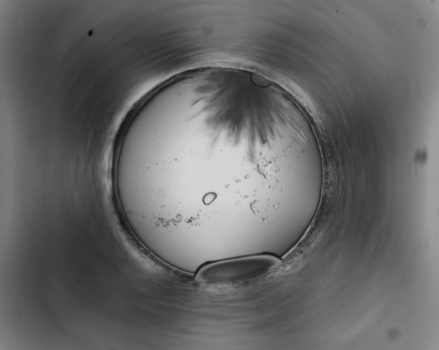 X0000102471128200808221637