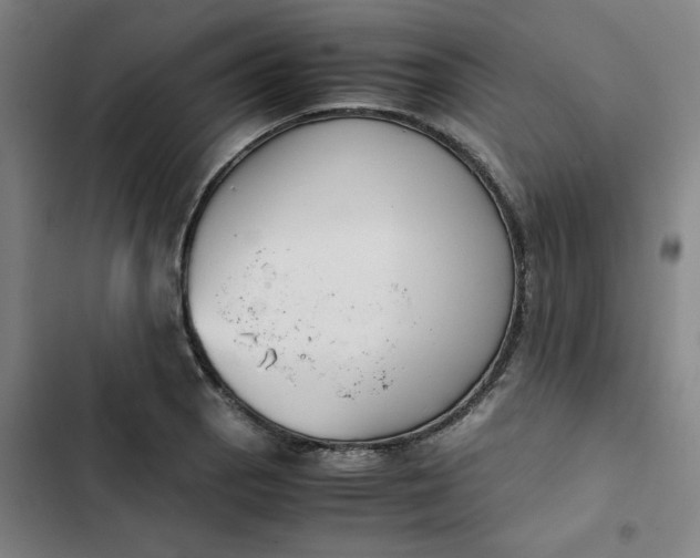 X0000102471129200808221637