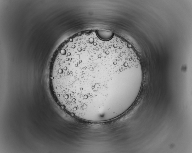 X0000102471130200808221637