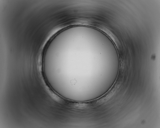 X0000102471131200808221637