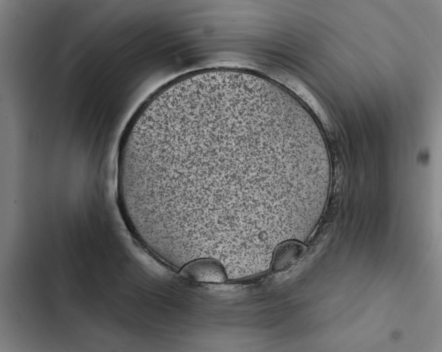 X0000102471132200808221637