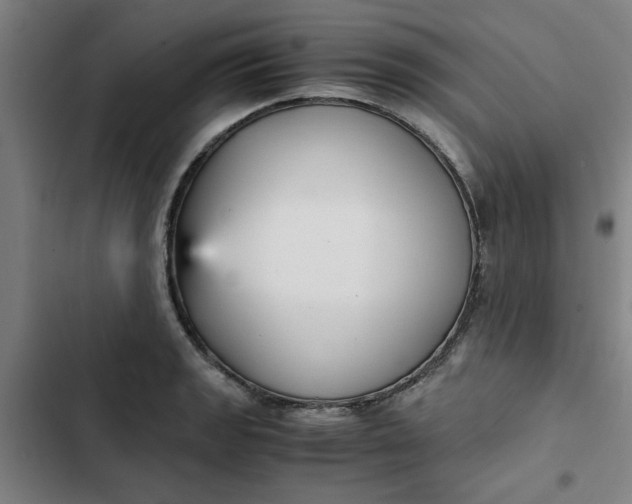 X0000102471133200808221637