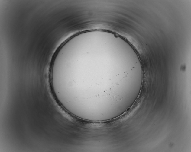 X0000102471134200808221637