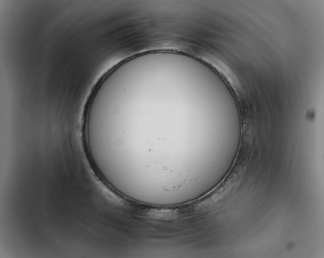 X0000102471135200808221637