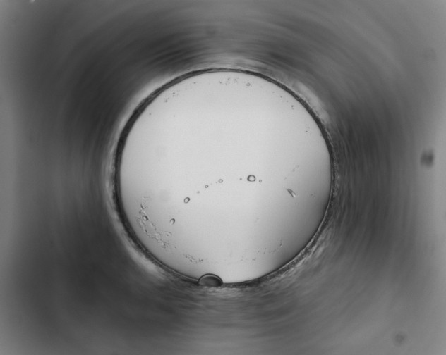 X0000102471136200808221637