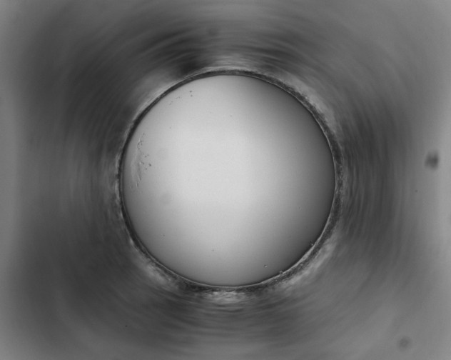 X0000102471137200808221637