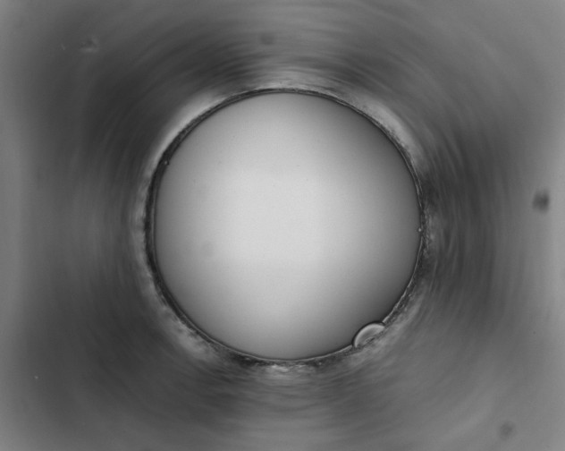 X0000102471138200808221637