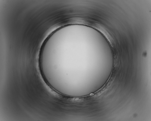 X0000102471139200808221637