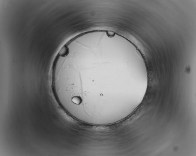 X0000102471140200808221637