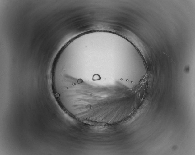 X0000102471141200808221637