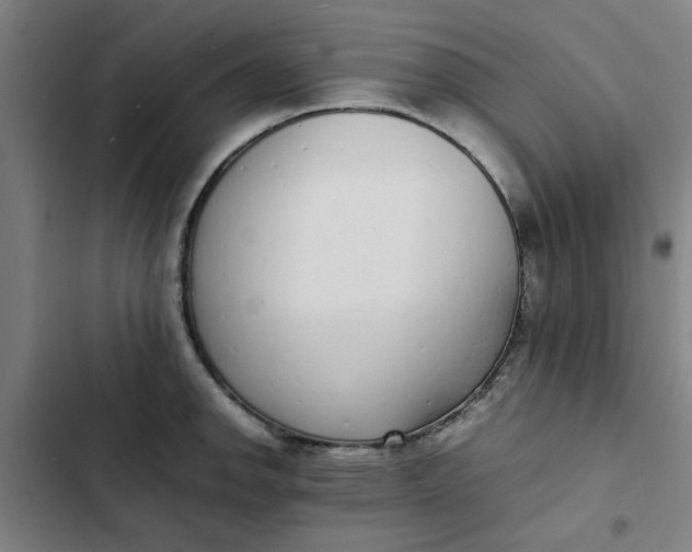 X0000102471142200808221637