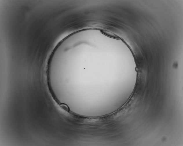 X0000102471143200808221637