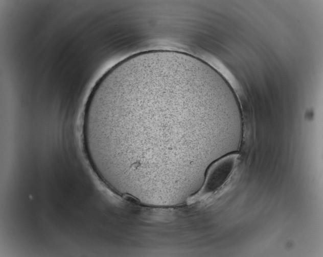 X0000102471144200808221637