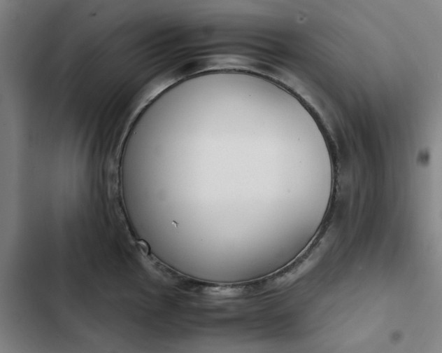 X0000102471145200808221637